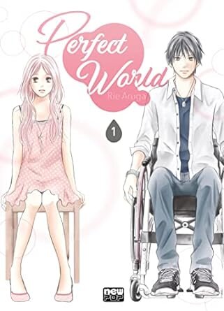 Perfect World V.01