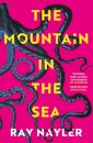 The Mountain in the Sea