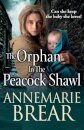 The Orphan in the Peacock Shawl