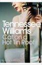 Cat On A Hot Tin Roof