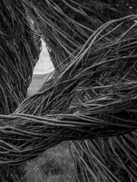 Patrick Dougherty | James Florio: Sticks