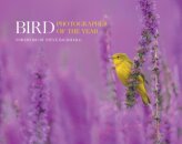 Bird Photographer of the Year