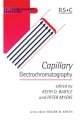 Capillary Electrochromatography