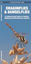 Dragonflies & Damselflies