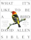 What It's Like to be a Bird