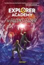 The Falcon's Feather Book 2