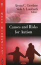Causes & Risks for Autism