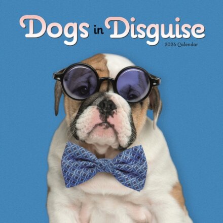 Dogs In Disguise Square Wall Calendar 20