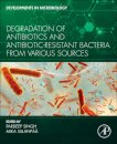 Degradation of Antibiotics and Antibiotic-Resistant Bacteria From Various Sources