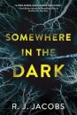 Somewhere in the Dark
