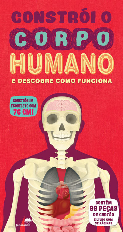 Constrói O Corpo Humano