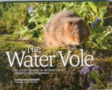 The Water Vole