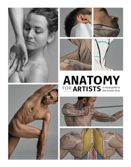 Anatomy for Artists