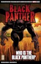 Marvel Select Black Panther: Who is The Black Panther?