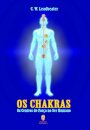 Os Chakras Os Centros De Força No Ser Humano