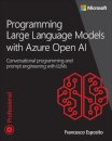 Programming Large Language Models with Azure Open AI