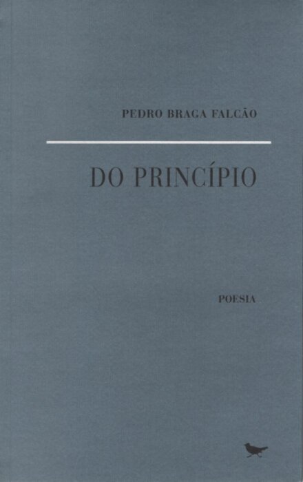 Do Princípio