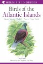Field Guide to the Birds of the Atlantic Islands