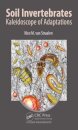 Soil Invertebrates