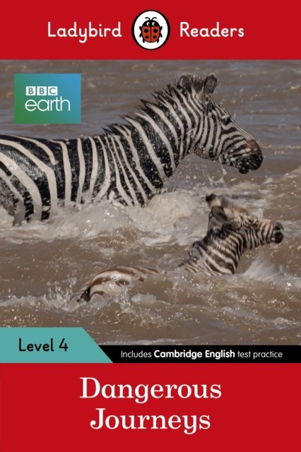 Dangerous Journeys Lbr L4