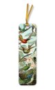 Ernst Haeckel: Hummingbirds Bookmarks (pack of 10)