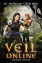 Veil Online - Book 1 (a LitRPG MMORPG Adventure Series)