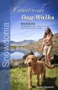 Countryside Dog Walks - Snowdonia
