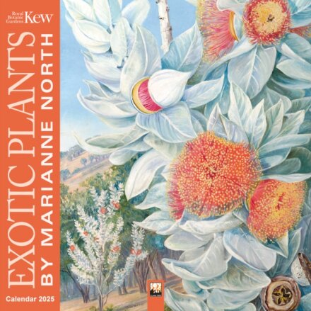 Kew Gardens: Exotic Plants by Marianne North Wall Calendar 2025 (Art Calendar)