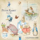The World of Peter Rabbit Wall Calendar 2026 (Art Calendar)