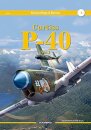 Curtiss P-40 Vol. I