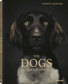 The Dogs
