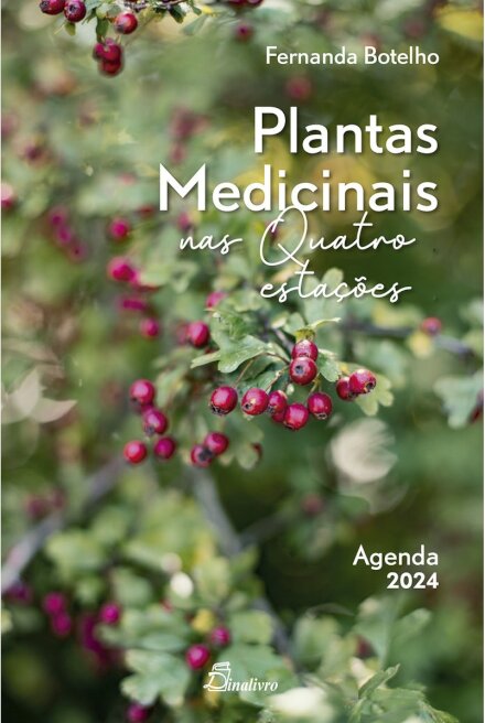 Plantas Medicinais nas Quatro Estações