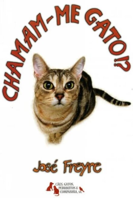 Chamam-me Gato?!