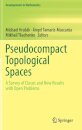 Pseudocompact Topological Spaces