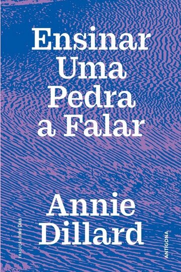 Ensinar uma Pedra a Falar