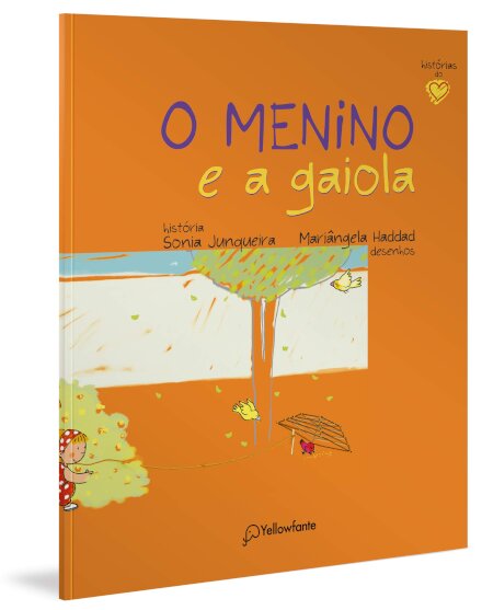 O Menino E A Gaiola