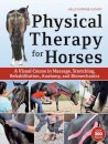Physical Therapy for Horses