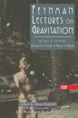 Feynman Lectures On Gravitation