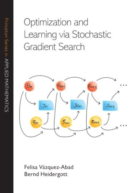 Optimization and Learning via Stochastic Gradient Search