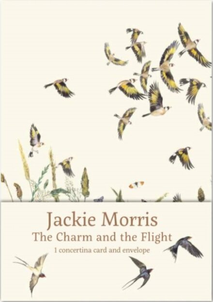 The Charm and the Flight Concertina Card