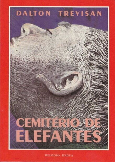 Cemitério De Elefantes